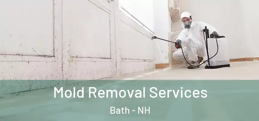 Mold Removal Services Bath - NH