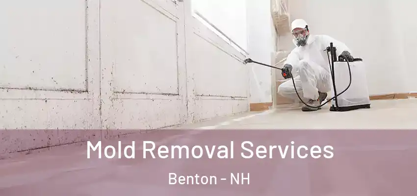  Mold Removal Services Benton - NH