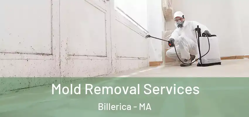 Mold Removal Services Billerica - MA
