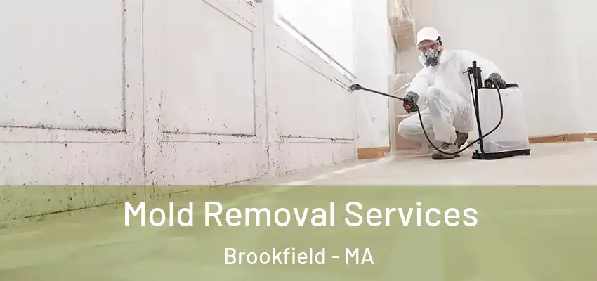 Mold Removal Services Brookfield - MA