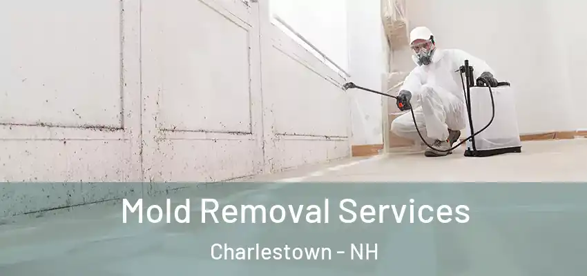 Mold Removal Services Charlestown - NH