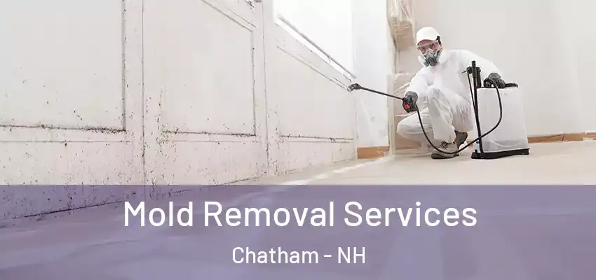 Mold Removal Services Chatham - NH