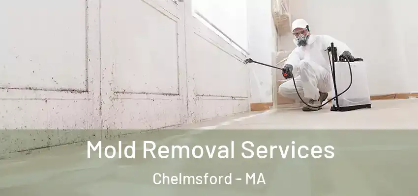 Mold Removal Services Chelmsford - MA