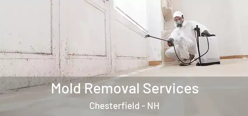  Mold Removal Services Chesterfield - NH