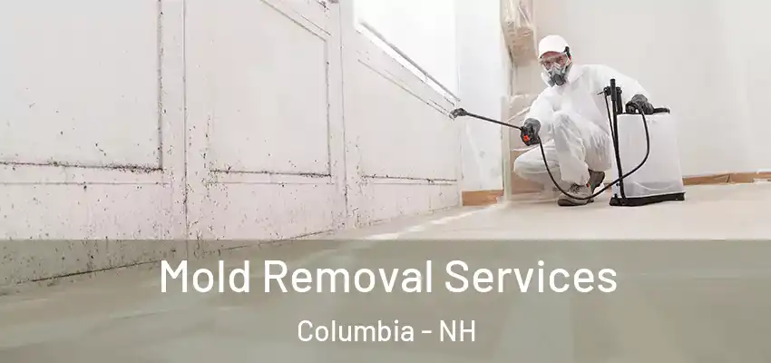  Mold Removal Services Columbia - NH