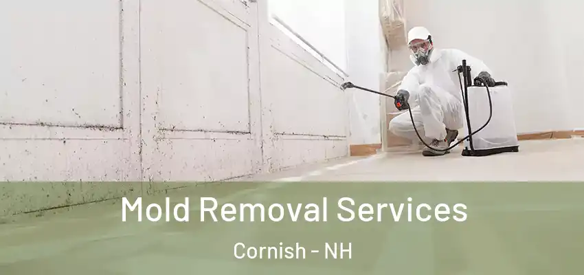 Mold Removal Services Cornish - NH
