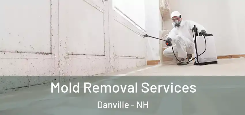  Mold Removal Services Danville - NH