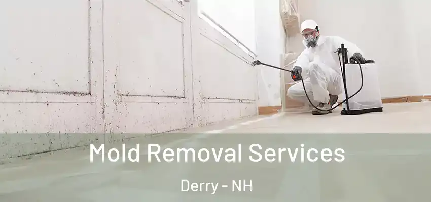 Mold Removal Services Derry - NH