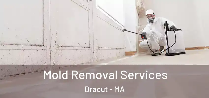 Mold Removal Services Dracut - MA