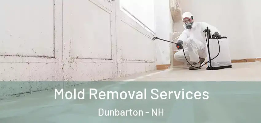  Mold Removal Services Dunbarton - NH
