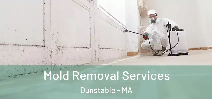  Mold Removal Services Dunstable - MA