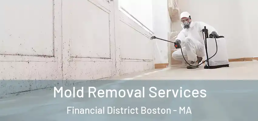Mold Removal Services Financial District Boston - MA