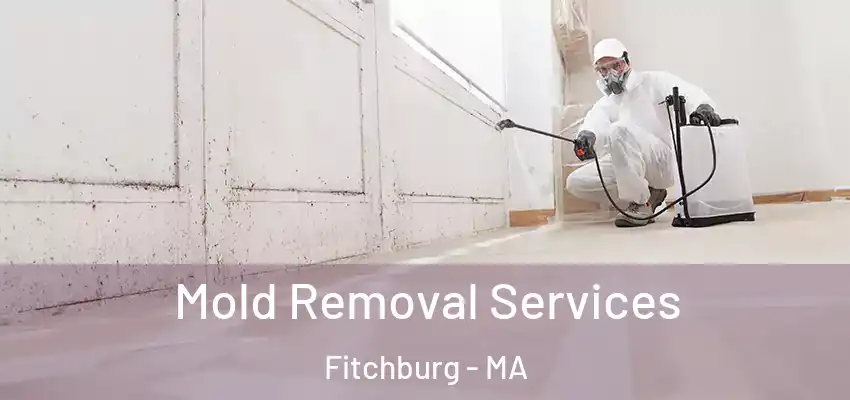  Mold Removal Services Fitchburg - MA