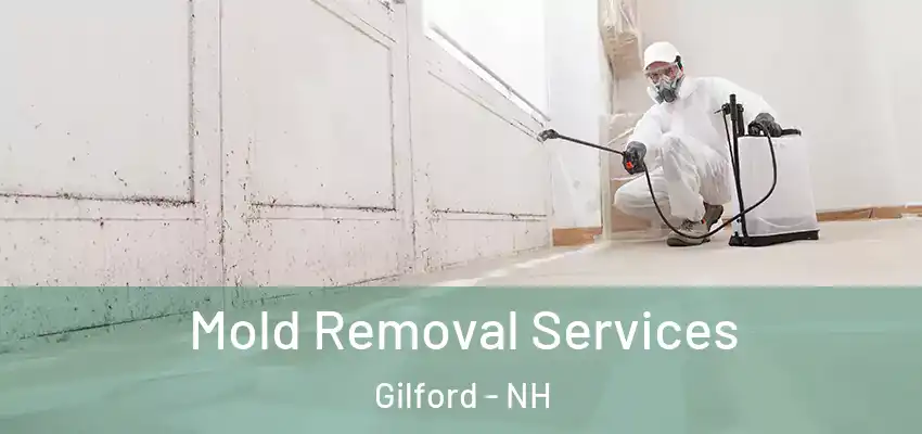  Mold Removal Services Gilford - NH