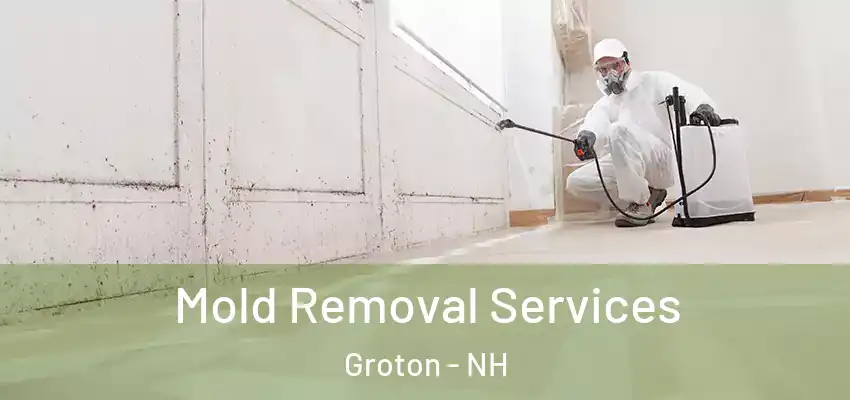Mold Removal Services Groton - NH