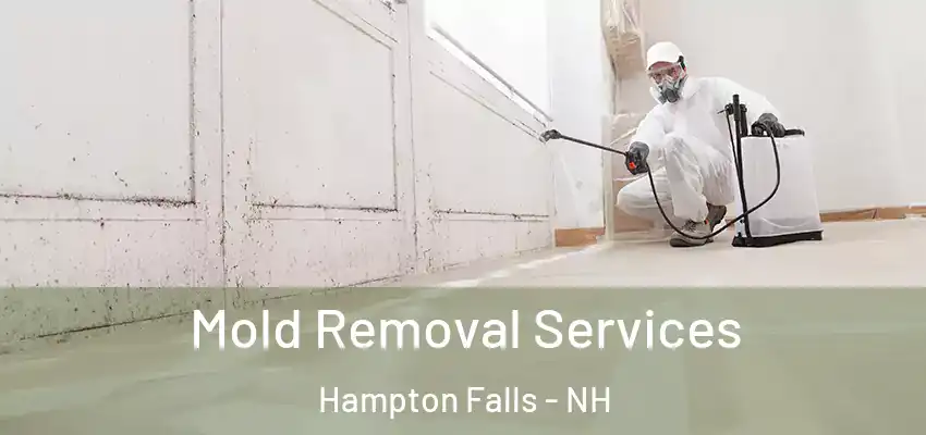 Mold Removal Services Hampton Falls - NH