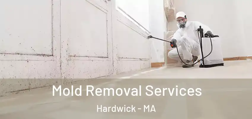 Mold Removal Services Hardwick - MA