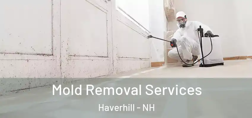 Mold Removal Services Haverhill - NH