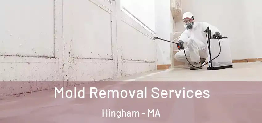 Mold Removal Services Hingham - MA