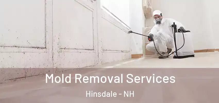 Mold Removal Services Hinsdale - NH