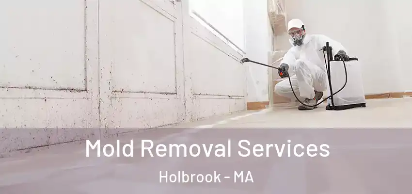Mold Removal Services Holbrook - MA