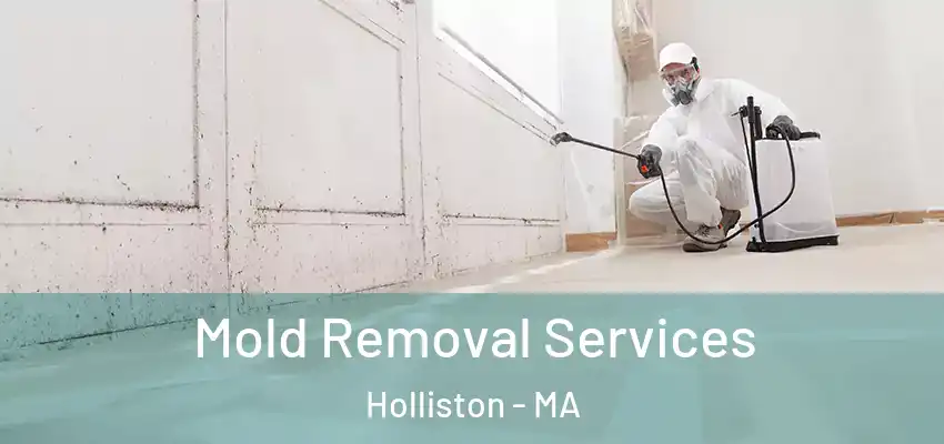 Mold Removal Services Holliston - MA