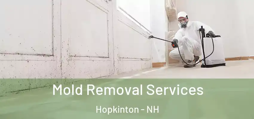 Mold Removal Services Hopkinton - NH