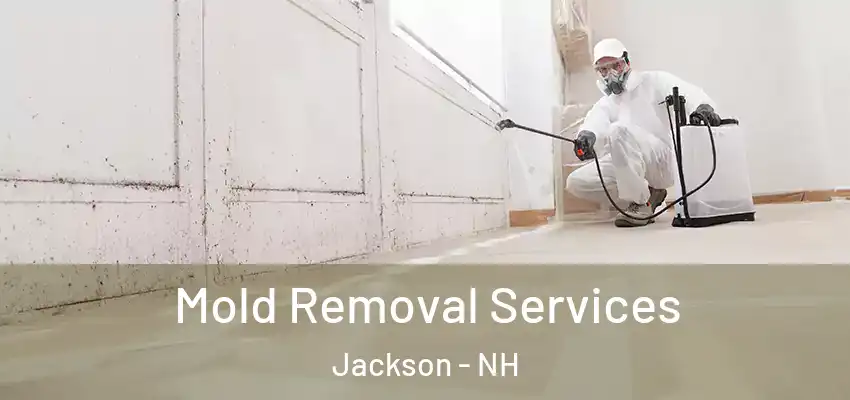 Mold Removal Services Jackson - NH