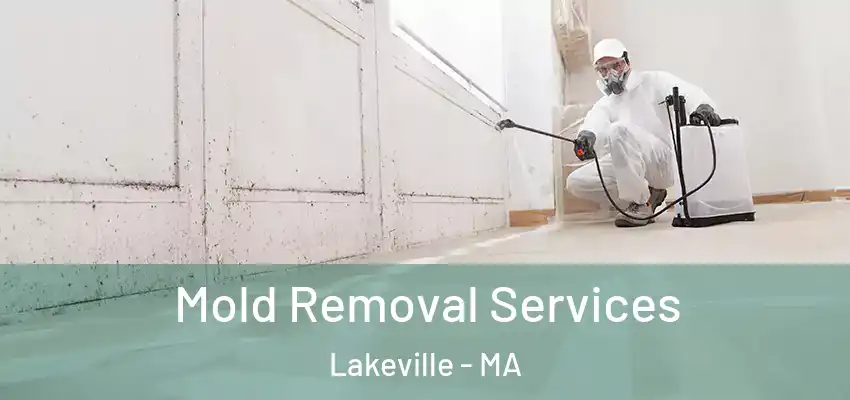 Mold Removal Services Lakeville - MA
