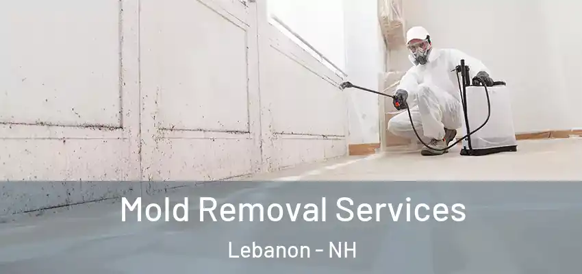 Mold Removal Services Lebanon - NH