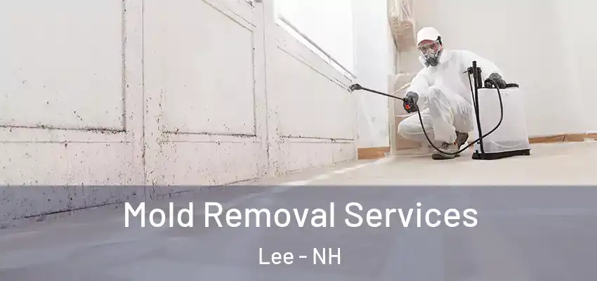  Mold Removal Services Lee - NH