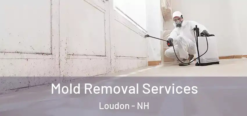 Mold Removal Services Loudon - NH