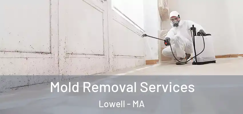 Mold Removal Services Lowell - MA