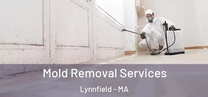  Mold Removal Services Lynnfield - MA