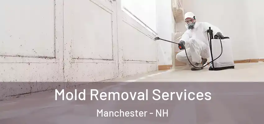  Mold Removal Services Manchester - NH