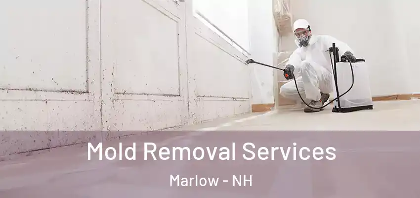  Mold Removal Services Marlow - NH