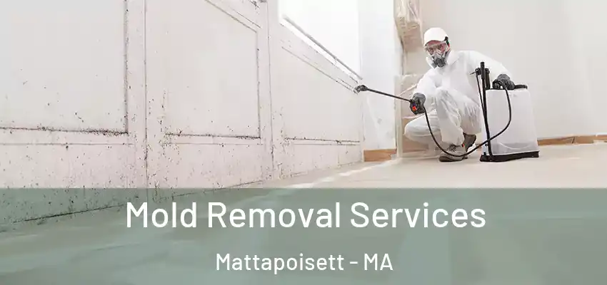  Mold Removal Services Mattapoisett - MA