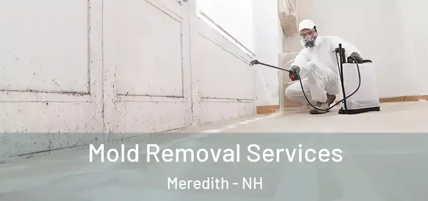 Mold Removal Services Meredith - NH