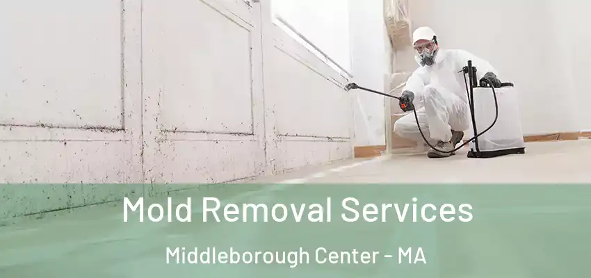 Mold Removal Services Middleborough Center - MA