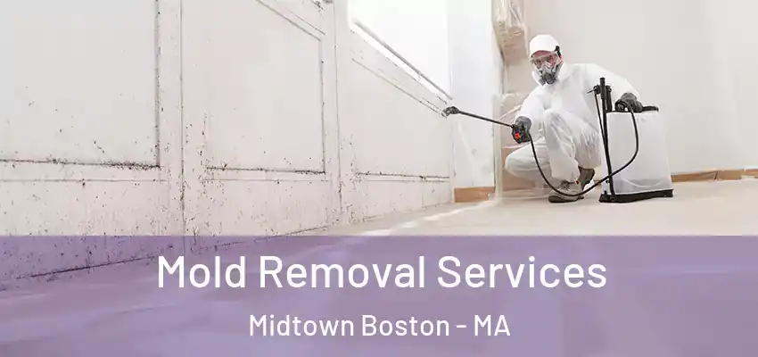 Mold Removal Services Midtown Boston - MA