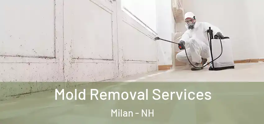 Mold Removal Services Milan - NH