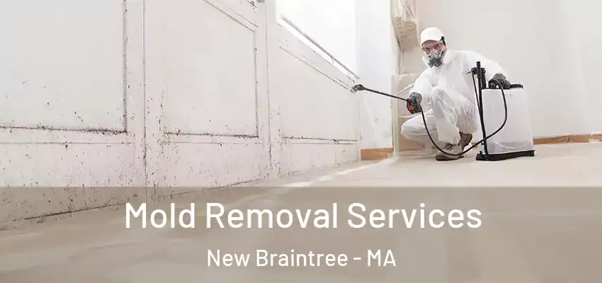 Mold Removal Services New Braintree - MA