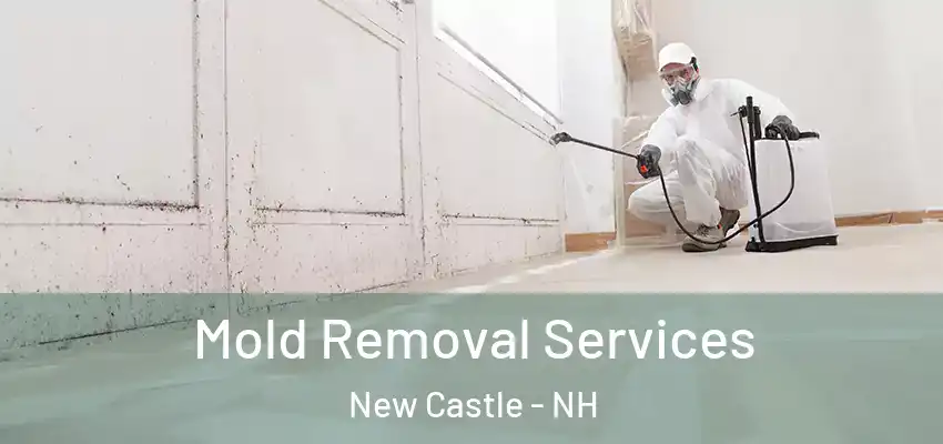  Mold Removal Services New Castle - NH