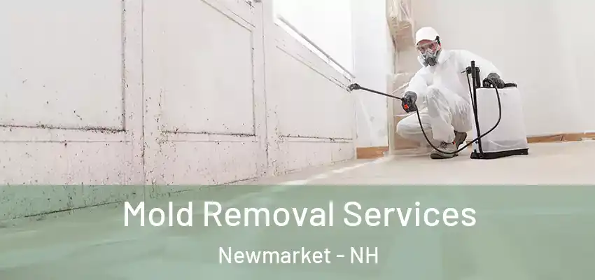 Mold Removal Services Newmarket - NH