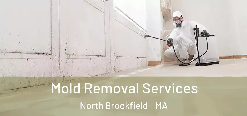 Mold Removal Services North Brookfield - MA