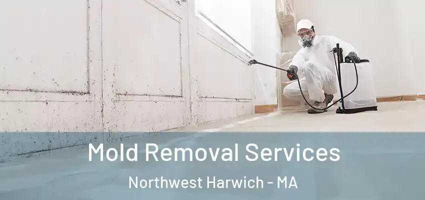 Mold Removal Services Northwest Harwich - MA