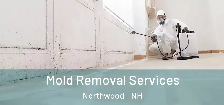 Mold Removal Services Northwood - NH