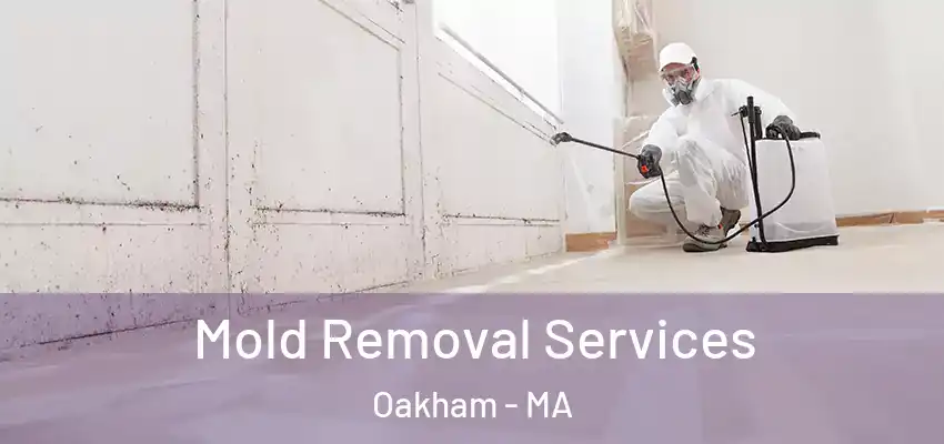 Mold Removal Services Oakham - MA