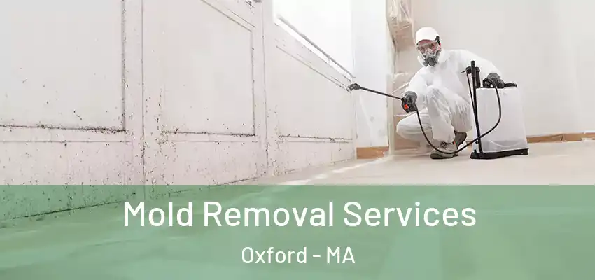Mold Removal Services Oxford - MA