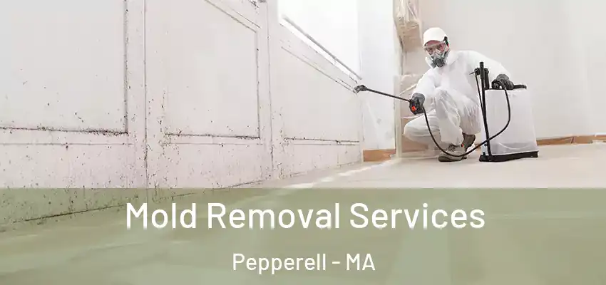 Mold Removal Services Pepperell - MA